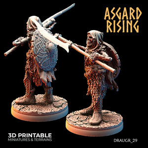 Draugr Phalanx 29 - Asgard Rising - Wargaming D&D DnD