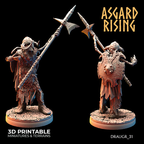 Draugr Phalanx 31 - Asgard Rising - Wargaming D&D DnD