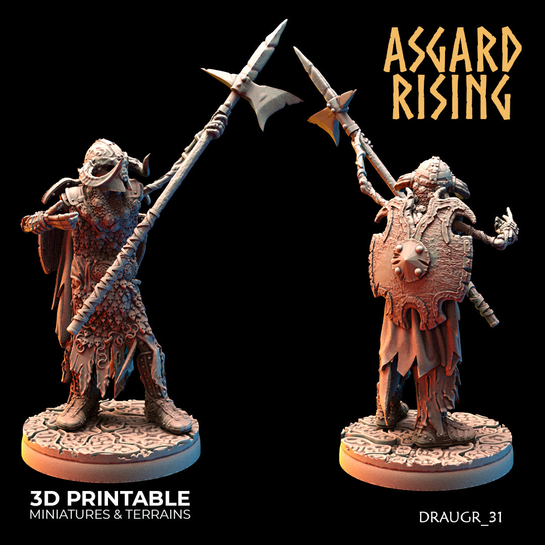 Draugr Phalanx 31 - Asgard Rising - Wargaming D&D DnD
