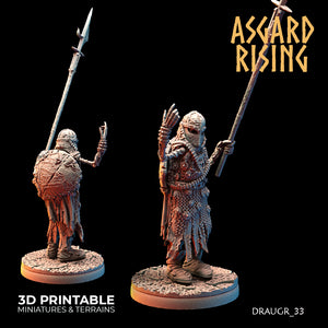 Draugr Phalanx 33 - Asgard Rising - Wargaming D&D DnD