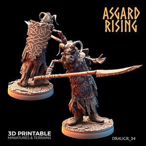 Draugr Phalanx 34 - Asgard Rising - Wargaming D&D DnD