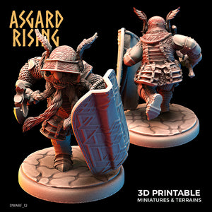 Dwarven Plate Armor Shield Wall Modular Set - Asgard Rising - Wargaming D&D DnD