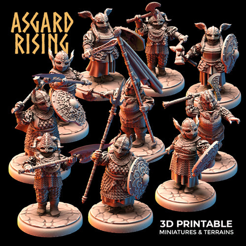 Dwarven Shield Maidens Modular Set - Asgard Rising - Wargaming D&D DnD