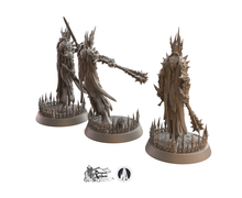 Load image into Gallery viewer, Fallen Wraithlords - Lost Souls I - Monolith Arts Wargaming D&amp;D DnD