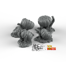 Load image into Gallery viewer, Giant Pumpkins - Fantastic Plants and Rocks Vol. 2 - Print Your Monsters - Wargaming D&amp;D DnD