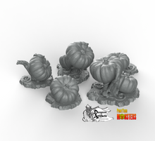 Load image into Gallery viewer, Giant Pumpkins - Fantastic Plants and Rocks Vol. 2 - Print Your Monsters - Wargaming D&amp;D DnD