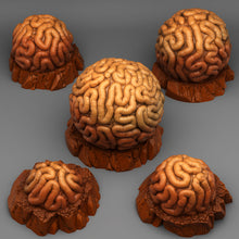 Load image into Gallery viewer, Gomacion Memory Stones - Fantastic Plants and Rocks Vol. 3 - Print Your Monsters - Wargaming D&amp;D DnD
