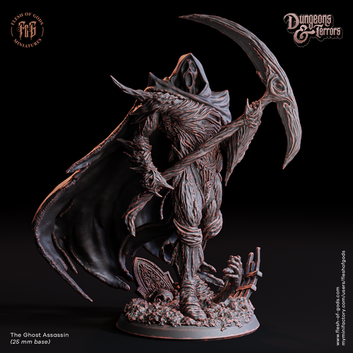 The Ghost Assassin - Dungeons and Terrors - Flesh of the Gods - Wargaming D&D DnD