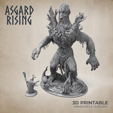 Load image into Gallery viewer, Swiatowid the Worldseeker- Asgard Rising Miniatures - Wargaming D&amp;D DnD