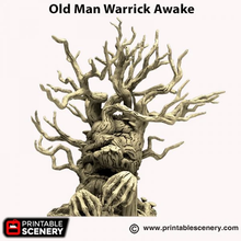 Load image into Gallery viewer, Old Man Warrick - Hagglethorn Hollow - Printable Scenery Wargaming D&amp;D DnD 28mm 32mm 40mm