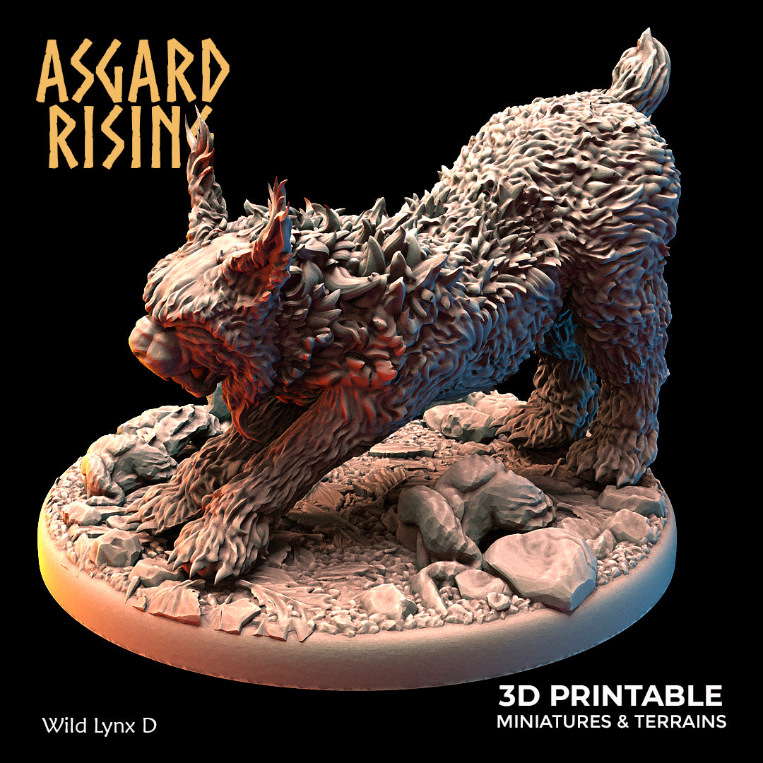Wild Lynx D - Asgard Rising - Wargaming D&D DnD