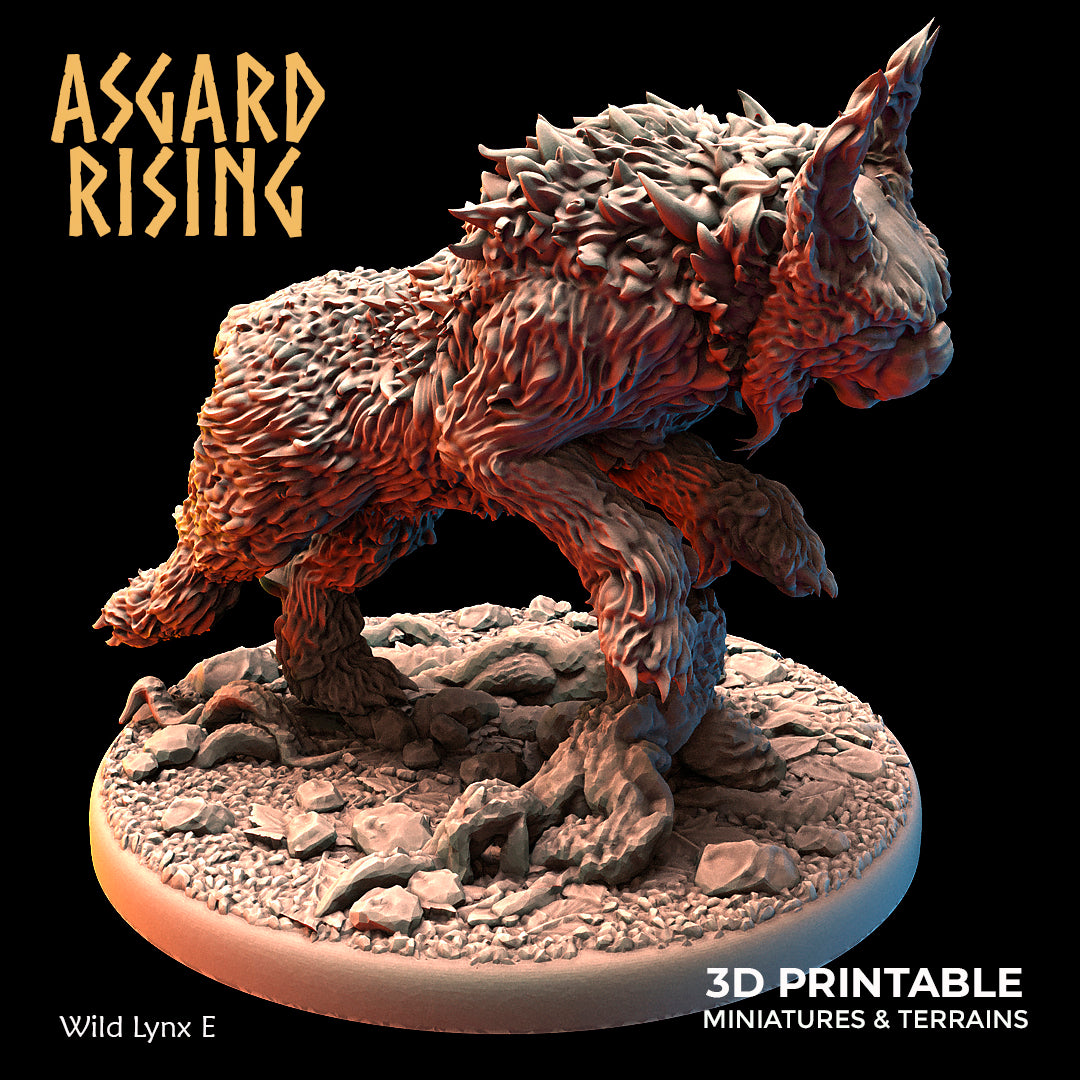 Wild Lynx E - Asgard Rising - Wargaming D&D DnD