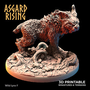 Wild Lynx Pack - Asgard Rising - Wargaming D&D DnD