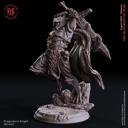 Dragonborn Knight - The Scourges of War - Flesh of Gods - Wargaming D&D DnD