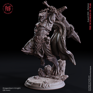 Dragonborn Knight - The Scourges of War - Flesh of Gods - Wargaming D&D DnD