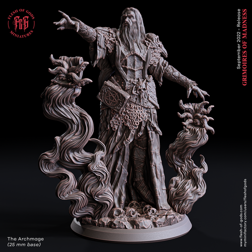 The Archmage - Grimoires of Madness - Flesh of Gods - Wargaming D&D DnD