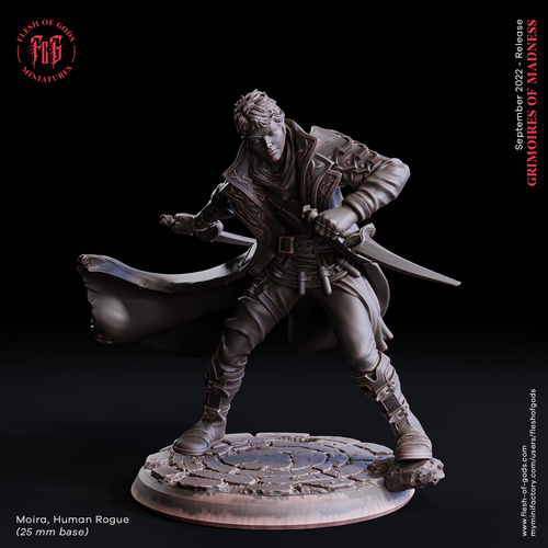 Moira Silverblade the Rogue - Grimoires of Madness - Flesh of Gods - Wargaming D&D DnD