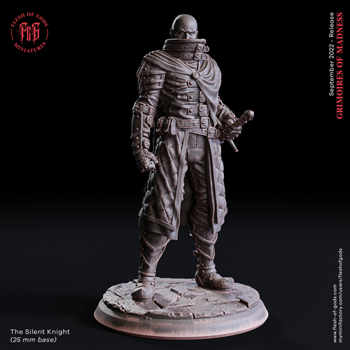 The Silent Knight - Grimoires of Madness - Flesh of Gods - Wargaming D&D DnD