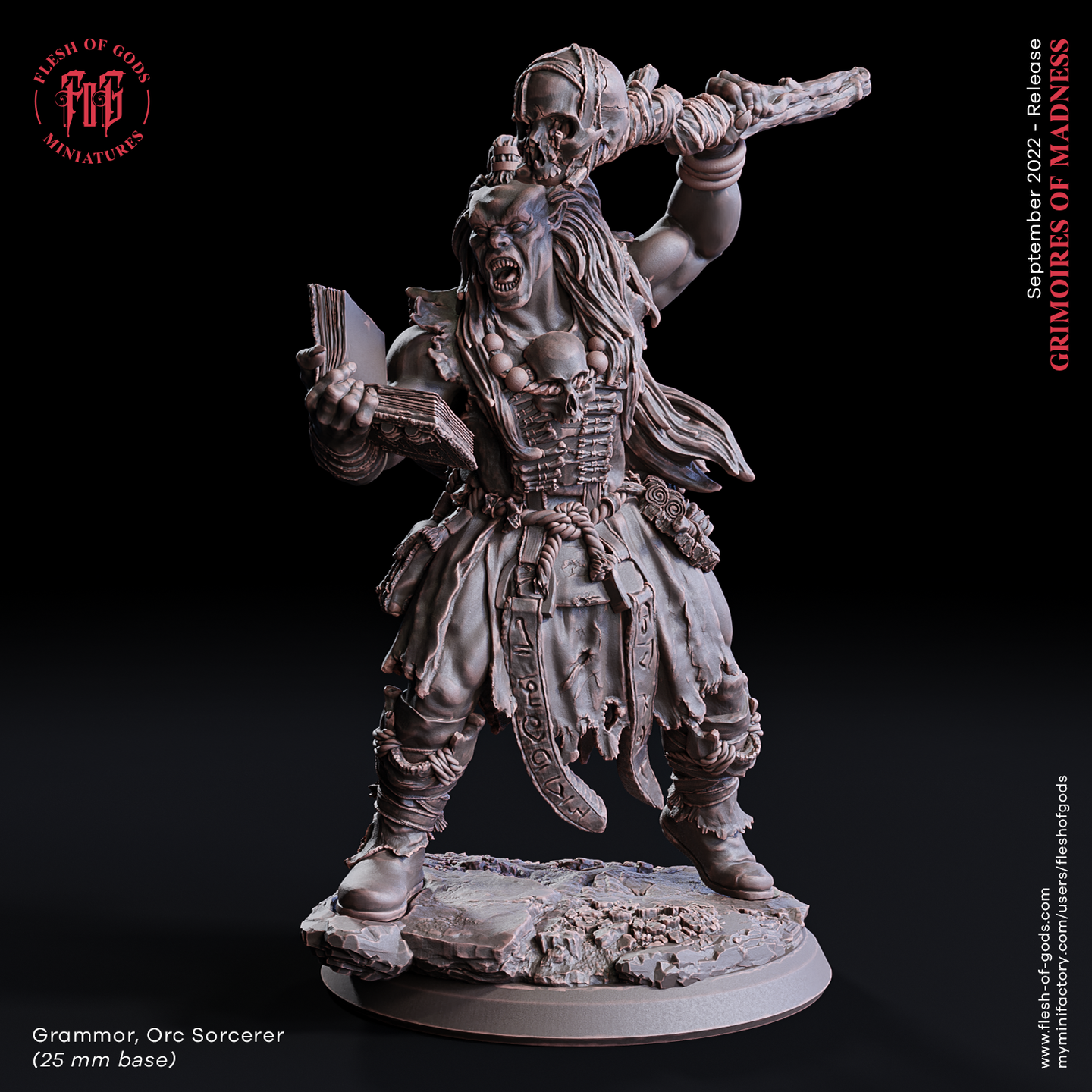 Grammor Orc Sorcerer - Grimoires of Madness - Flesh of Gods - Wargaming D&D DnD