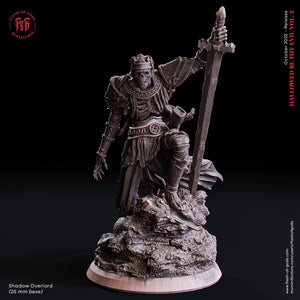 Shadow Overlord - Hallowed By Thy Evil Vol. 2 - Flesh of Gods - Wargaming D&D DnD