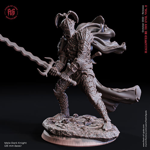 Male Dusk Knight - Hallowed Be Thy Evil Pt2 - Flesh of Gods - Wargaming D&D DnD