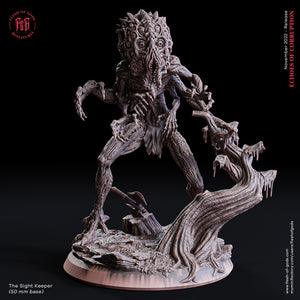 The Sight Keeper - Echoes of Corruption - Flesh of Gods - Wargaming D&D DnD