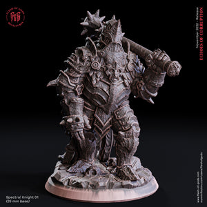 Spectral Knight 1 - Echoes of Corruption - Flesh of Gods - Wargaming D&D DnD