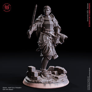 Gikta, Half-Orc Paladin - Echoes of Corruption - Flesh of Gods - Wargaming D&D DnD