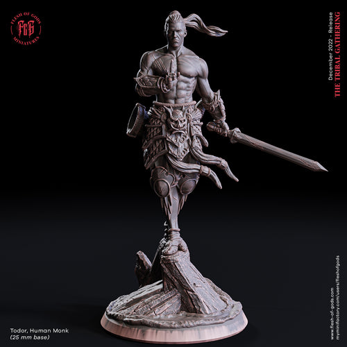 Todor, Human Monk - The Tribal Gathering - Flesh of Gods - Wargaming D&D DnD