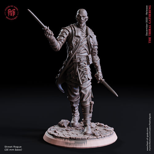 Human Street Rogue - The Tribal Gathering - Flesh of Gods - Wargaming D&D DnD