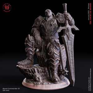 The Blood Commander 1 - The Court of Blood - Flesh of Gods - Wargaming D&D DnD