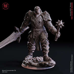 The Blood Commander 2 - The Court of Blood - Flesh of Gods - Wargaming D&D DnD