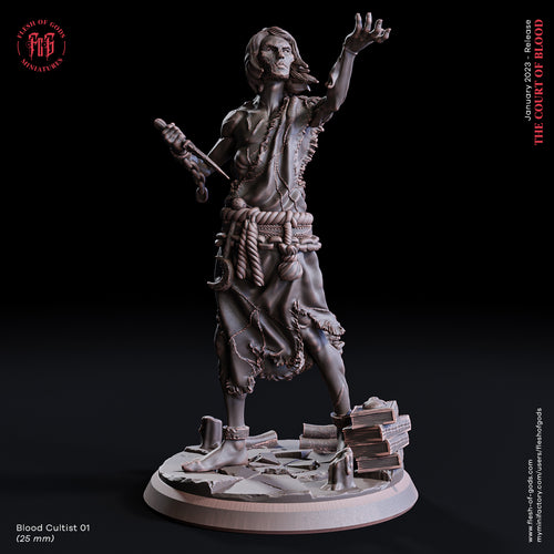 Aimothea Cultist 1 - The Court of Blood - Flesh of Gods - Wargaming D&D DnD