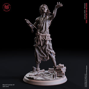 Aimothea Cultist 1 - The Court of Blood - Flesh of Gods - Wargaming D&D DnD