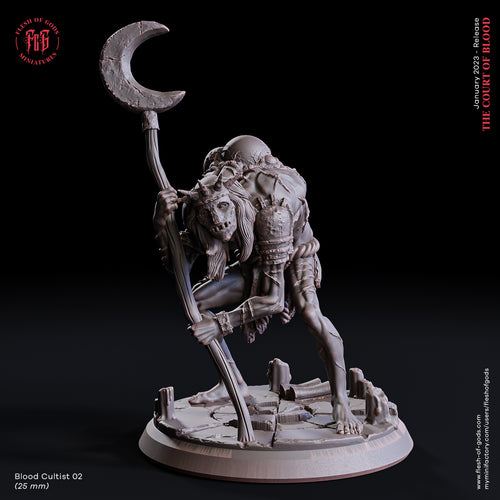Aimothea Cultist 2 - The Court of Blood - Flesh of Gods - Wargaming D&D DnD