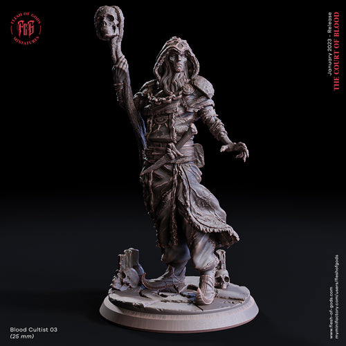 Aimothea Cultist 3 - The Court of Blood - Flesh of Gods - Wargaming D&D DnD
