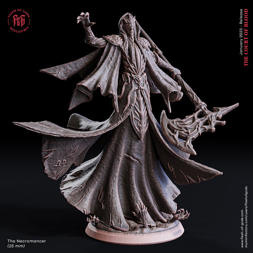 Necromancer - The Court of Blood - Flesh of Gods - Wargaming D&D DnD