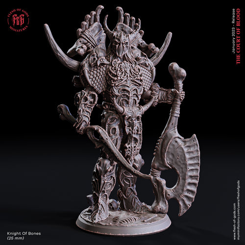 Knight of Bones - The Court of Blood - Flesh of Gods - Wargaming D&D DnD