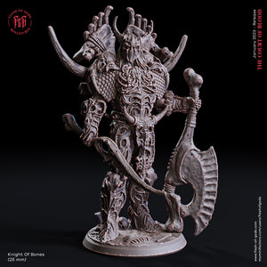 Knight of Bones - The Court of Blood - Flesh of Gods - Wargaming D&D DnD