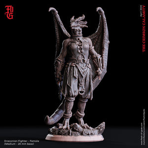 Draconian Fighter - Female - The Crimson Calamity - Flesh of Gods - Wargaming D&D DnD