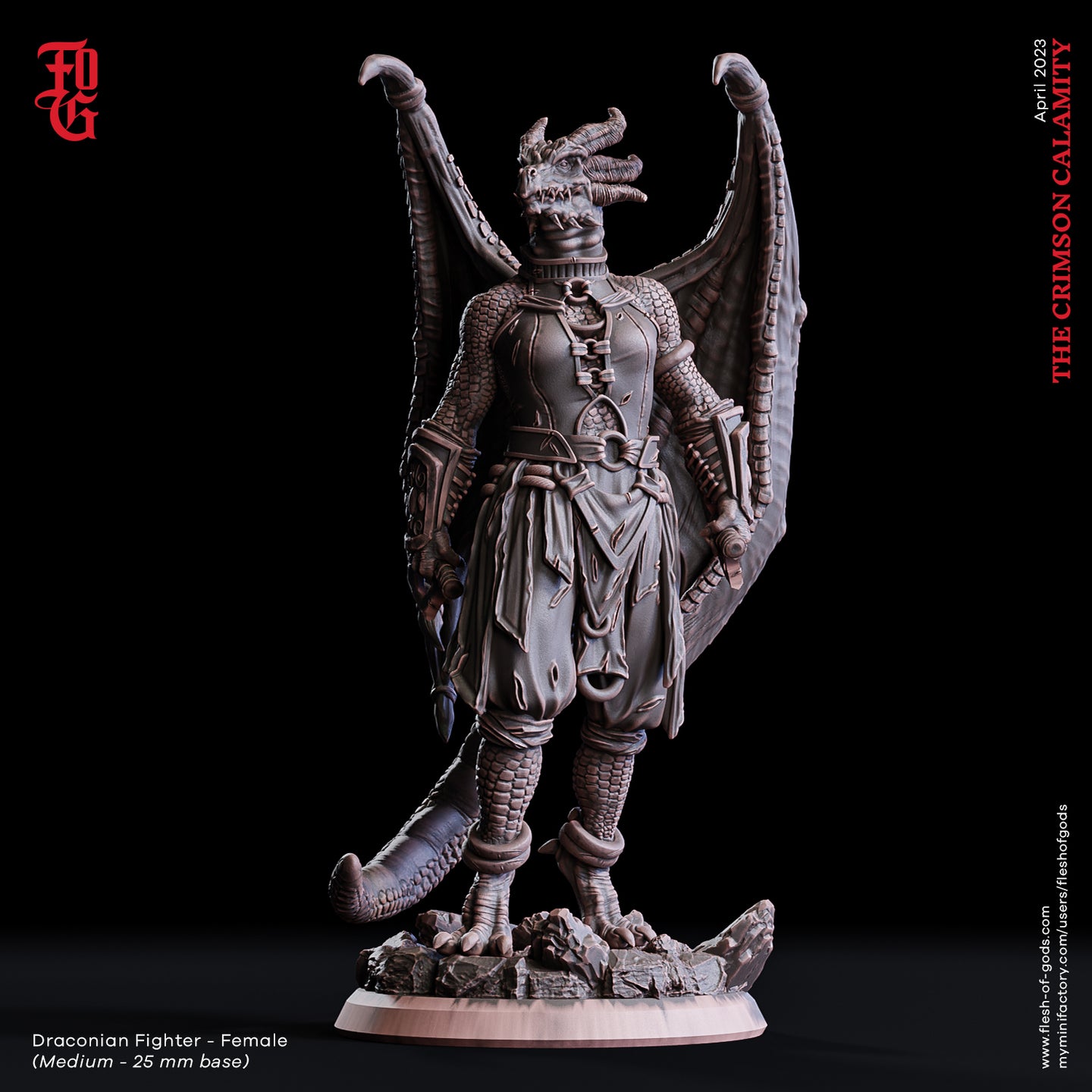 Draconian Fighter - Female - The Crimson Calamity - Flesh of Gods - Wargaming D&D DnD