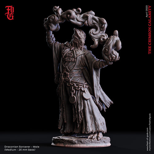 Draconian Sorcerer - Male - The Crimson Calamity - Flesh of Gods - Wargaming D&D DnD