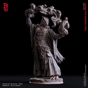 Draconian Sorcerer - Male - The Crimson Calamity - Flesh of Gods - Wargaming D&D DnD