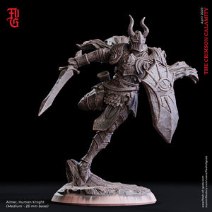 Aimer, Human Knight - The Crimson Calamity - Flesh of Gods - Wargaming D&D DnD