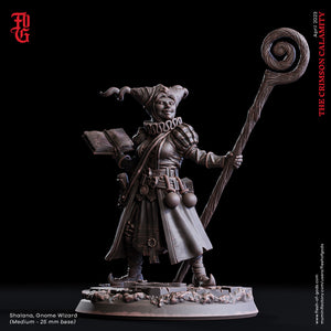 Shalana, Gnome Wizard - The Crimson Calamity - Flesh of Gods - Wargaming D&D DnD