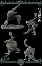 Load image into Gallery viewer, Corvidine - Wargaming Miniatures Monster Rocket Pig Games D&amp;D, DnD