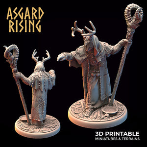 Hofgothi Seer - Asgard Rising Miniatures - Wargaming D&D DnD
