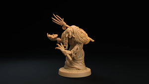 Swamp Hags - The Mushroom Bayou - Dragon Trapper's Lodge Wargaming D&D DnD