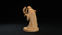 Load image into Gallery viewer, Swamp Hags - The Mushroom Bayou - Dragon Trapper&#39;s Lodge Wargaming D&amp;D DnD