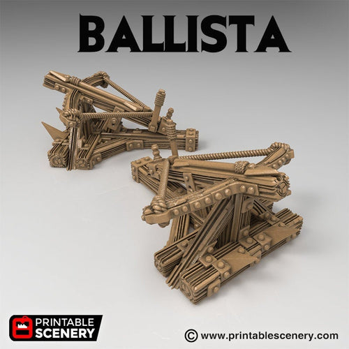 Ballista - Time Warp 28mm 32mm Wargaming Terrain D&D, DnD